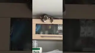 new place new way to sleep