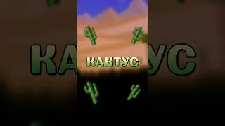 ПОЧЕМУ КАКТУС КРУТ!!! 
