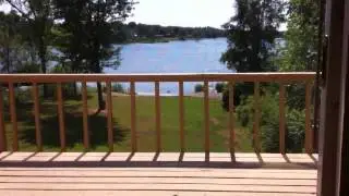 Blue Heron Attacks Fish