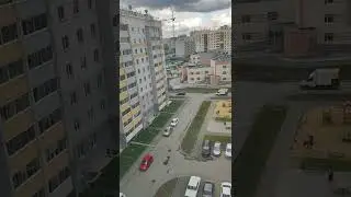 снимаю голубей в Челябинске