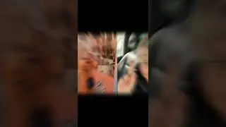 Лена и Ваня life. И его не скрыть