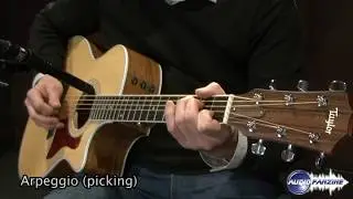 Taylor 414ce - How does it sound ?