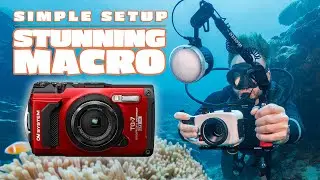 OM TG-7 Underwater Macro Setup and Review