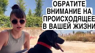 ЕСЛИ У ВАС ЧТО ТО СЛУЧИЛОСЬ