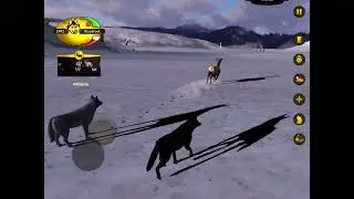 Catching fish in the river in Slough Creek! | WolfQuest 2.7 | Red Stained roots pack ep 3