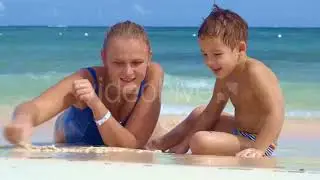 Piglets Walking and Playing - (nature) Stock Footage | Mega Pack +40 items
