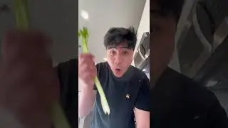 Playing the Celery like a Violin! 