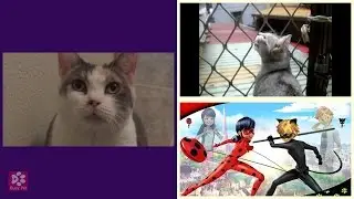 Cats Meowing IT'S LADYBUG (Opening theme song of Miraculous : Tales of Ladybug & Cat Noir)