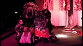 DefenzMechanizms Sakura Nude Night 2010