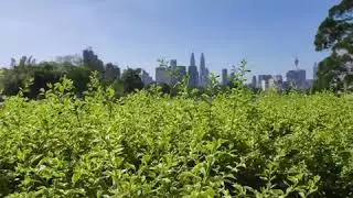 Short video of Taman Tasik Titiwangsa surroundings