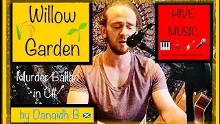Willow Garden - Murder Ballad in C# Cover by Danaidh B