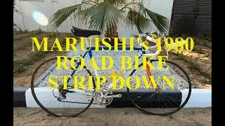 Maruishi Strip Down