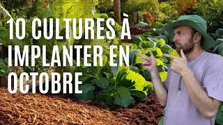 10 CULTURES À IMPLANTER EN OCTOBRE AU POTAGER