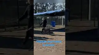 Ксолоитцкуинтли Один посетил первую в своей жизни выставку собак.