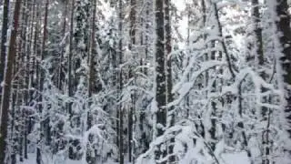 Piirpauke - Lamb's Polka