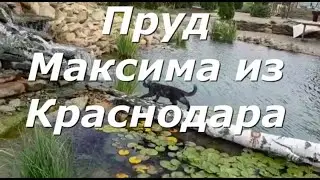 Transparent pond with vertical bioplateau from top to bottom