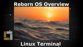 Reborn OS Overview