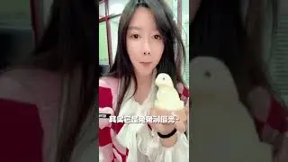 Я: *захожу в бухгалтерию, чтобы получить расчетку*Бухгалтер в это время: