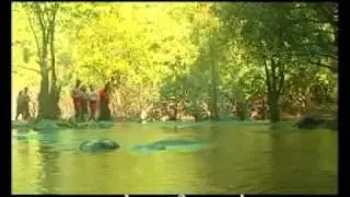 PAMBA TEERAM-MUSIC VIDEO