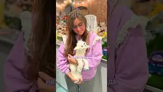 История создания единорога 💕