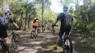 Green Swamp March 2025