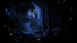Глубокий сон.Ночной лес.
