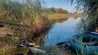 Ну і місце ми вибрали.  Рибалка в очереті.