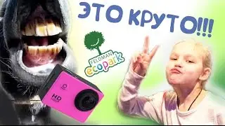 VLOG ♥ не ДОМАШНИЕ ЖИВОТНЫЕ в городе!!!