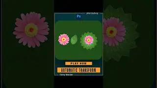 Transform rotation effect in Photoshop 