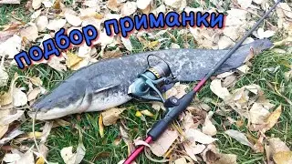 Пассивный судак. Подбор нужной приманки