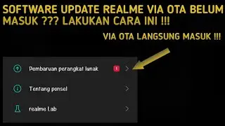 SOFTWARE UPDATE VIA OTA REALME BELUM MASUK ? CARA MEMPERCEPAT SOFTWARE UPDATE VIA OTA DEVICE REALME