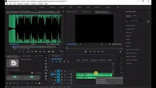 PREMIER PRO OMF IMPORT | WHAT WORKS