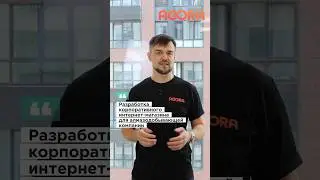 Разработка корпоративного  интернет-магазина для алмазодобывающей компании #закупки #бизнес #алроса