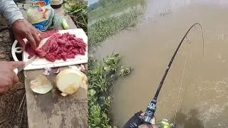 ACAMPAMOS NO MEIO DA MATA INFESTADA DE PEIXES, LUGAR MELHOR NÃO TEM - parte 02