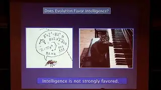 Prospects for Intelligent Life in the Universe | Geoff Marcy