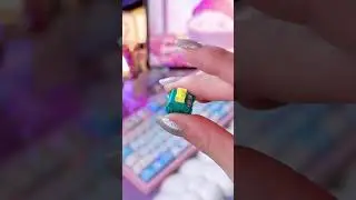 Leobog Reaper Switches VS KayKing switches | Hi75 keyboard | #comparison #soundtest #asmr