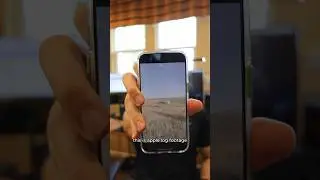 Hidden Apple Log LUTs  