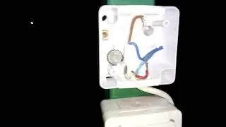 Выключатель и муравьи