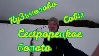 VLOG: КУЗЬМОЛОВО - МУЗЕЙ СОВ - СЕСТРОРЕЦКОЕ БОЛОТО