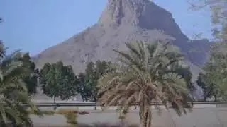 Seyyidimizin Kendi sesinden Aşk muhabbet