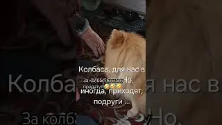 18 августа 2024 г.