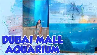 AQUARIUM AT DUBAI MALL WITH FRIENDS