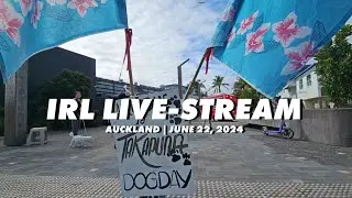 NZ IRL 🐶 It's a Dog Day Out in Takapuna, Auckland