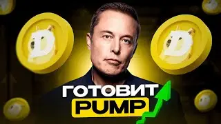 ИЛОН И ТРАМП ЗАПАМПЯТ DOGE