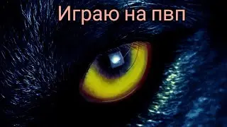 играю на пвп в Wolf Simulator Evolution