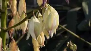 Autunno 2012