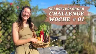 Here we go! WEEK #01 in my 365-day self-sufficiency challenge 👩🏼‍🌾