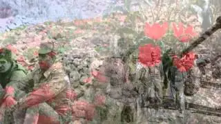 " Тюльпан ".Исп. гр. "Голубые  береты "