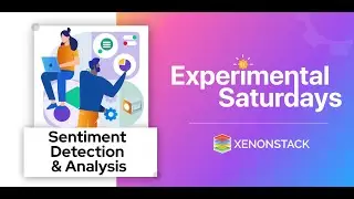 Sentiment Detection and Analysis