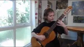 Лео Брауэр - Один день в ноябре - Полина Матюшева